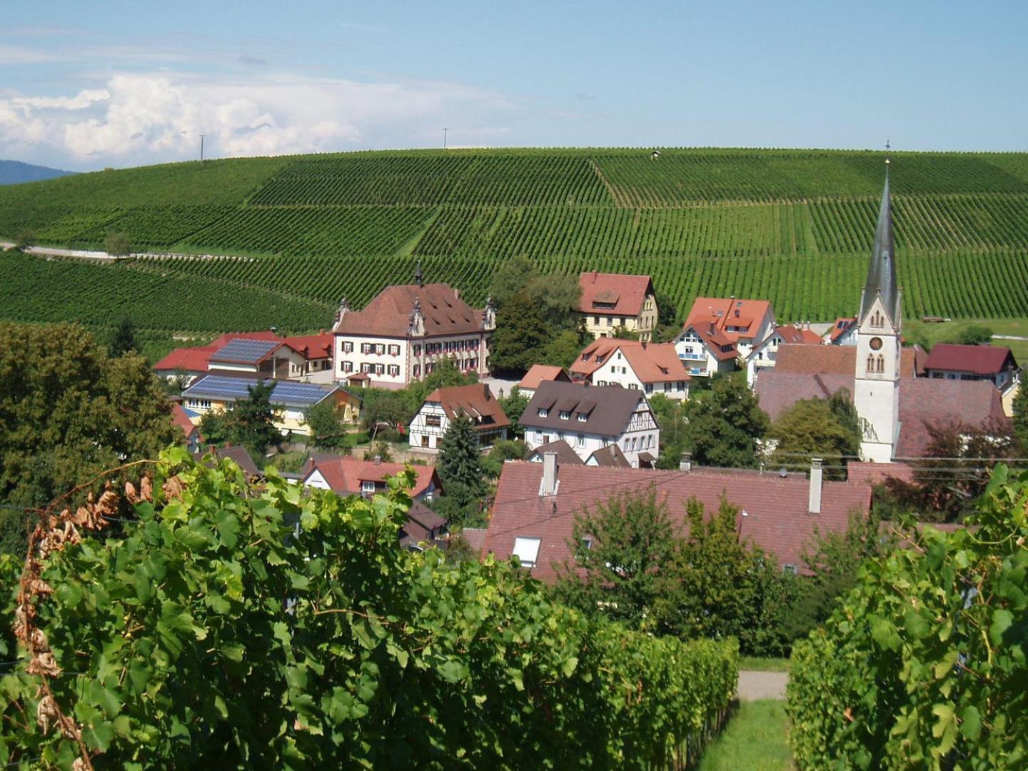 Ferienwohnung Birkental Ebringen Exterior foto